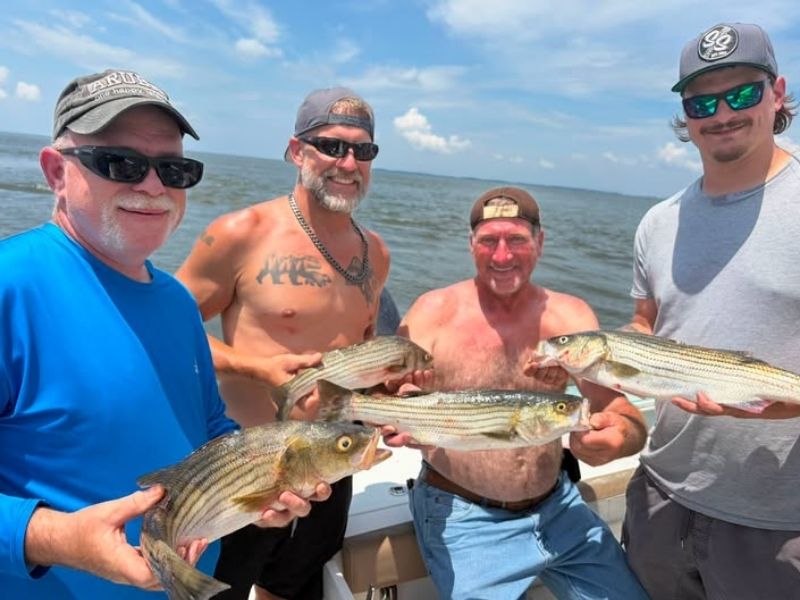 striped bass fishing chesapeake bay