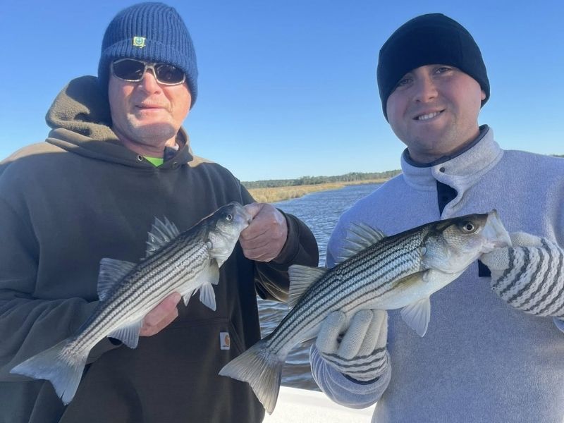 Striped bass fishing Chesapeake Bay