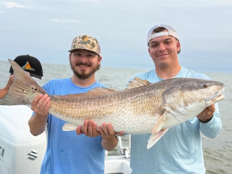 Red drum fishing Chesapeake Bay