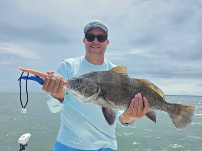 Black drum fishing Chesapeake Bay