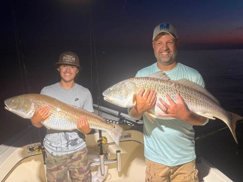 Bull red drum Chesapeake Bay