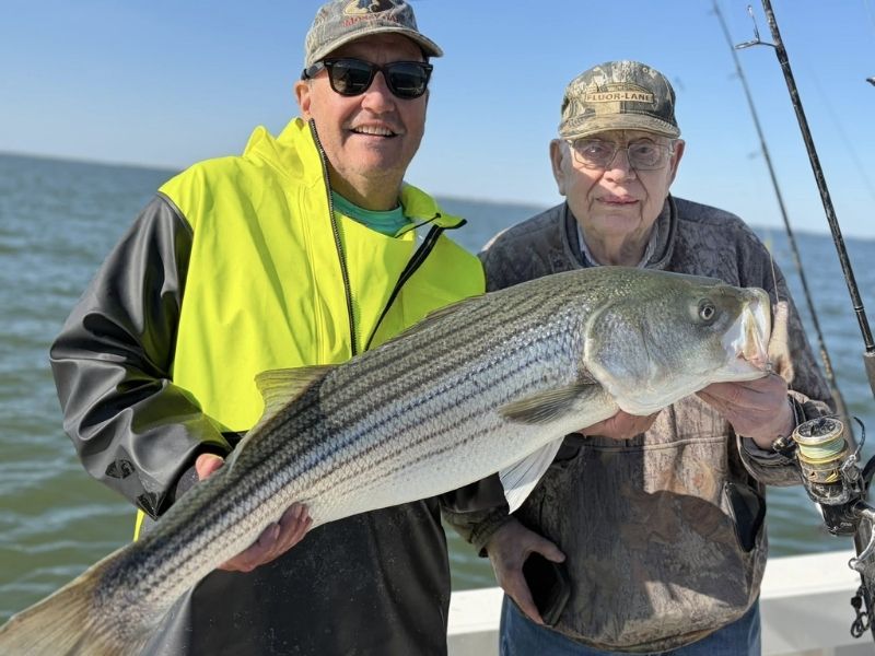 Striped bass fishing Chesapeake Bay