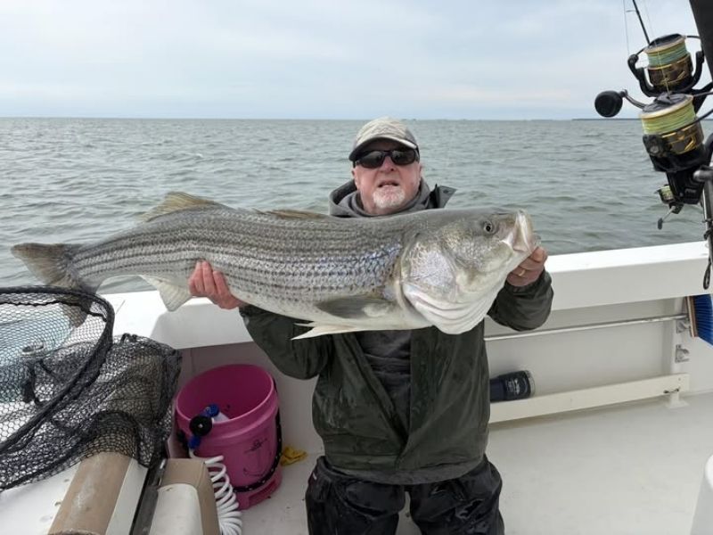 Trophy striped bass fishing Chesapeake Bay