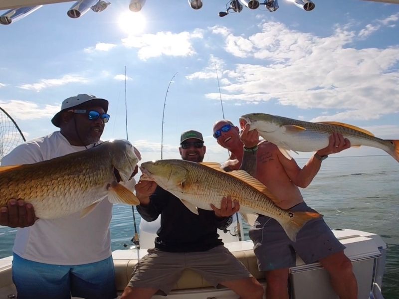 red drum fishing Chesapeake Bay