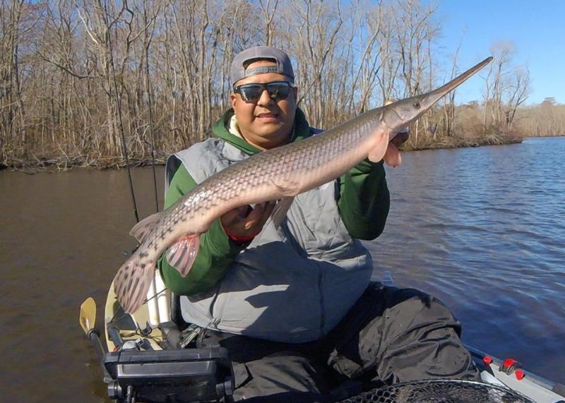 gar caught in the river