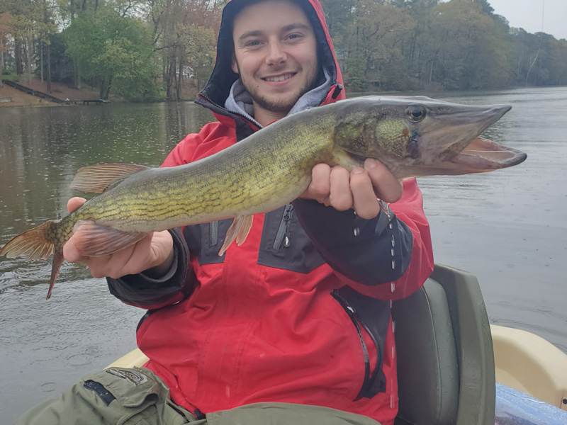 salisbury pickerel fishing