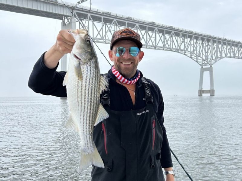 striped bass fishing chesapeake bay