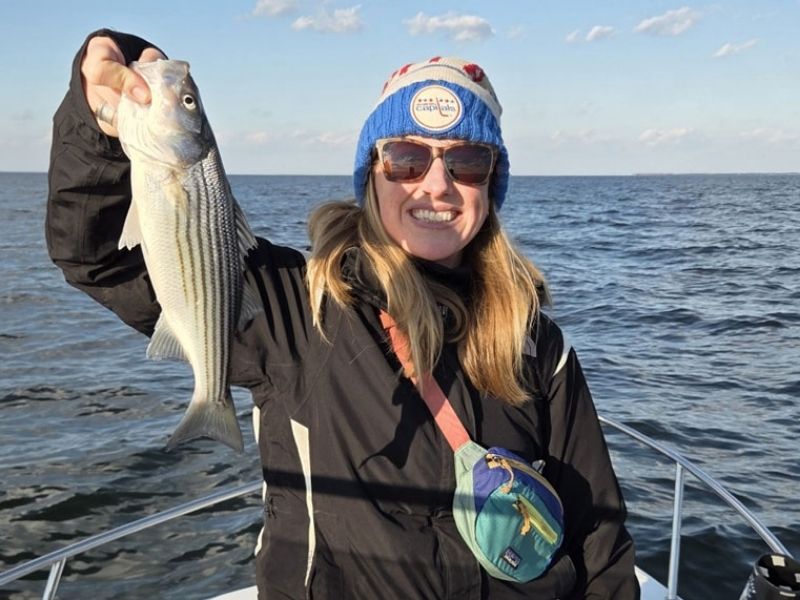 striped bass fishing chesapeake bay