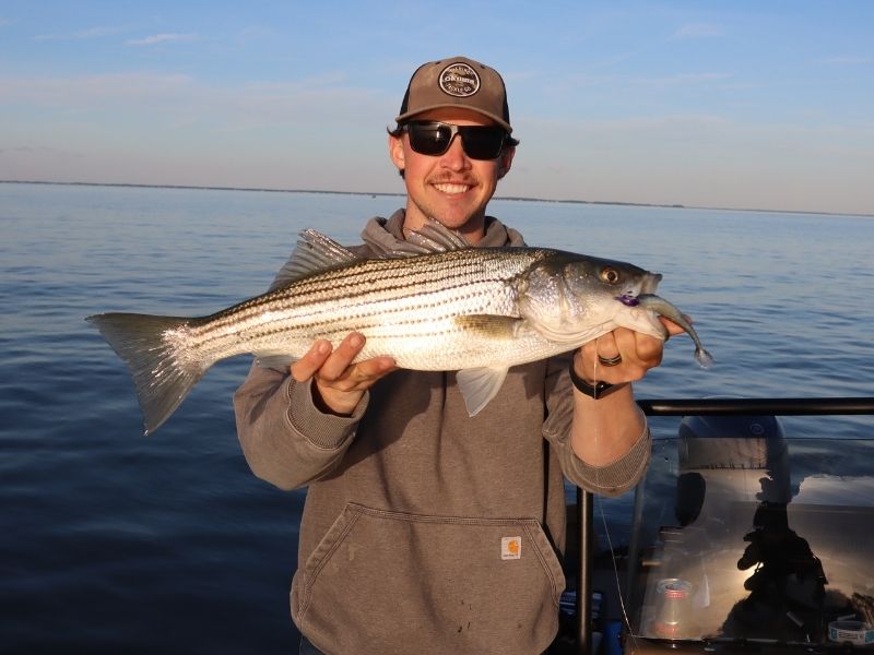 striped bass fishing chesapeake bay