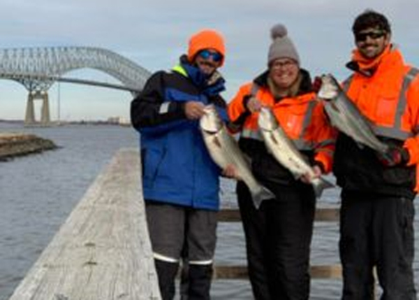 upper bay anglers