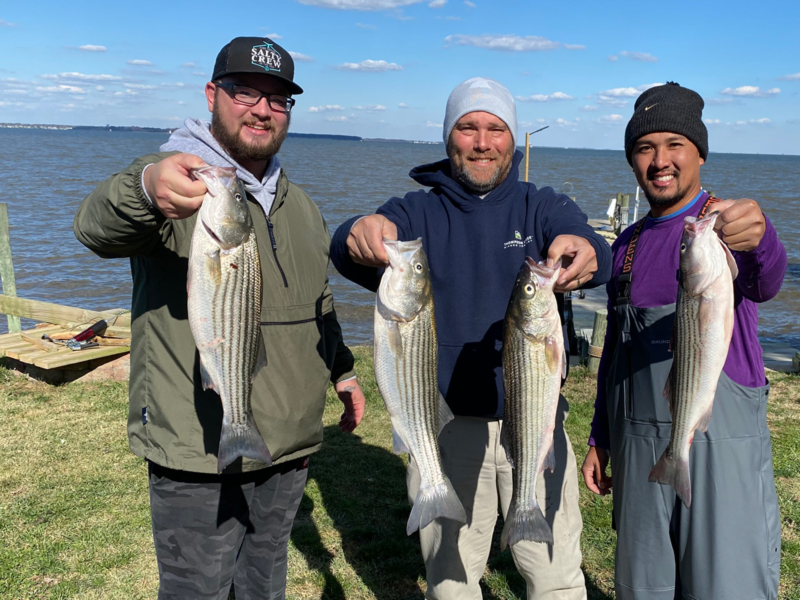 upper bay rockfish fishing