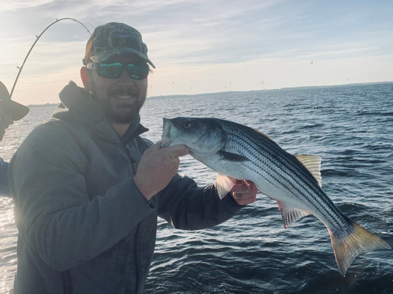 upper chesapeake bay rockfish report