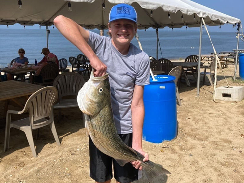 big rockfish caught from shore