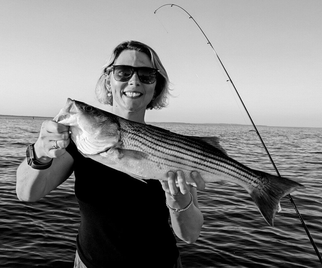 upper bay rock fish