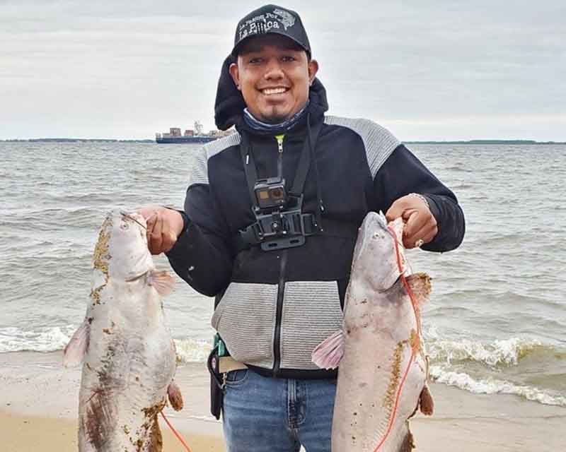 catfish caught at sandy point