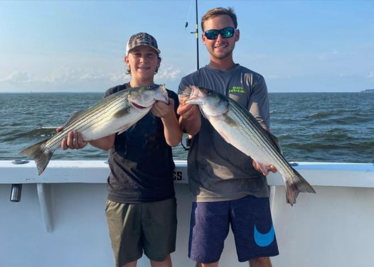 striped bass on big worm