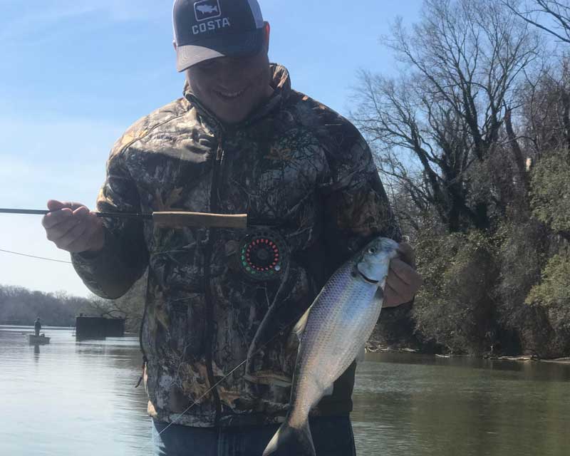 shad fishing on the rappahannock river