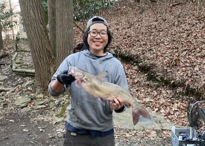 susquehanna catfish