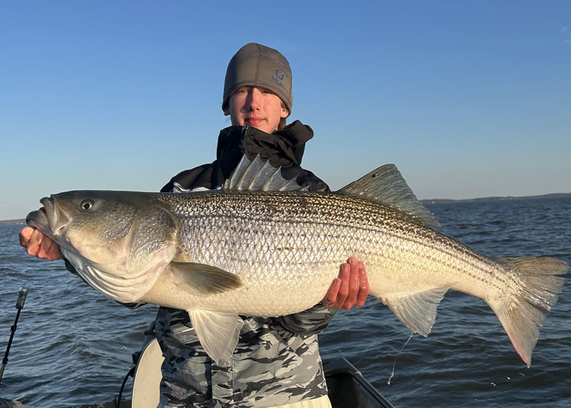 big susquehanna flats rockfish