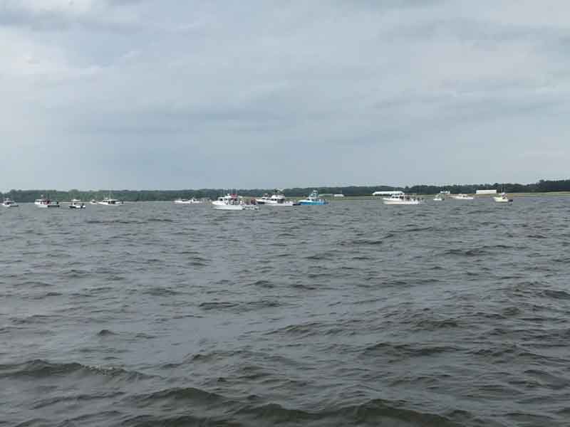 fleet of fishing boats