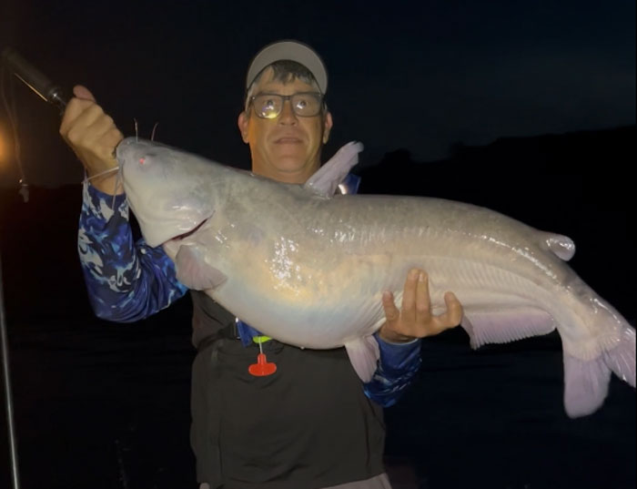 night fishing for catfish