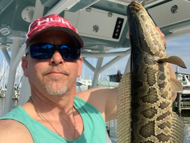 north chesapeake snakehead report