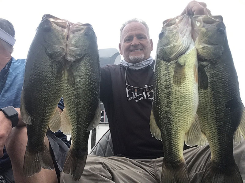 largemouth bass in the upper bay