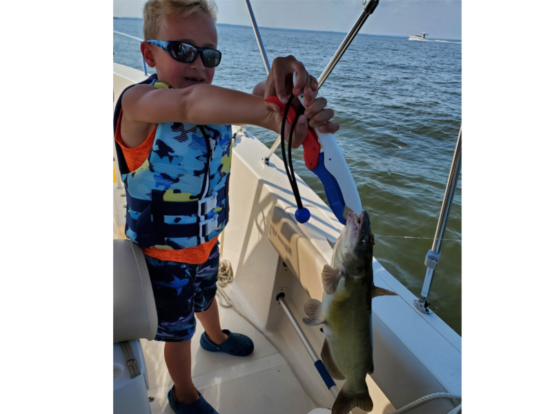 catfish fishing in the upper bay