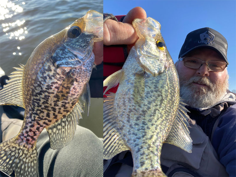 crappie in northern bay