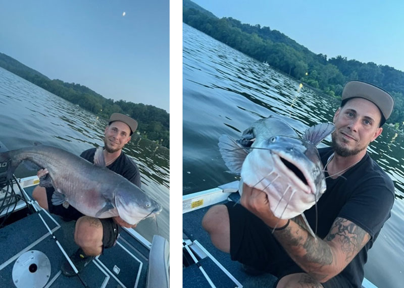 monster blue catfish caught in the upper chesapeake bay