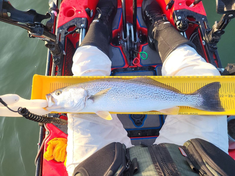 speck in the southern chesapeake