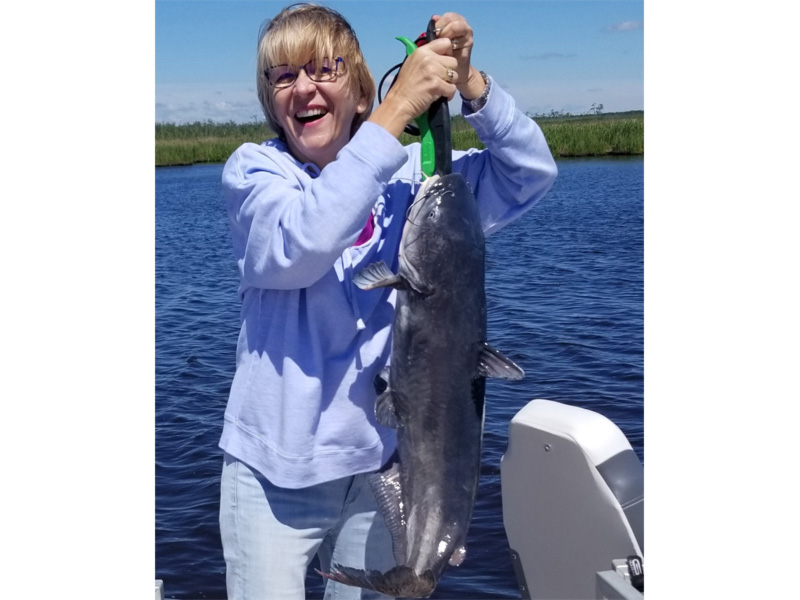 huge catfish caught at pungo ferry landing