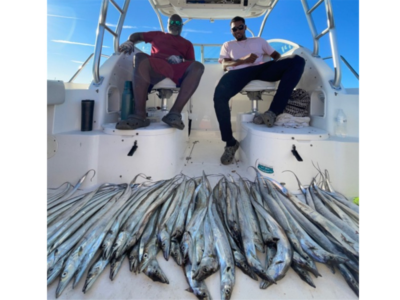 cutlass fish bonanza