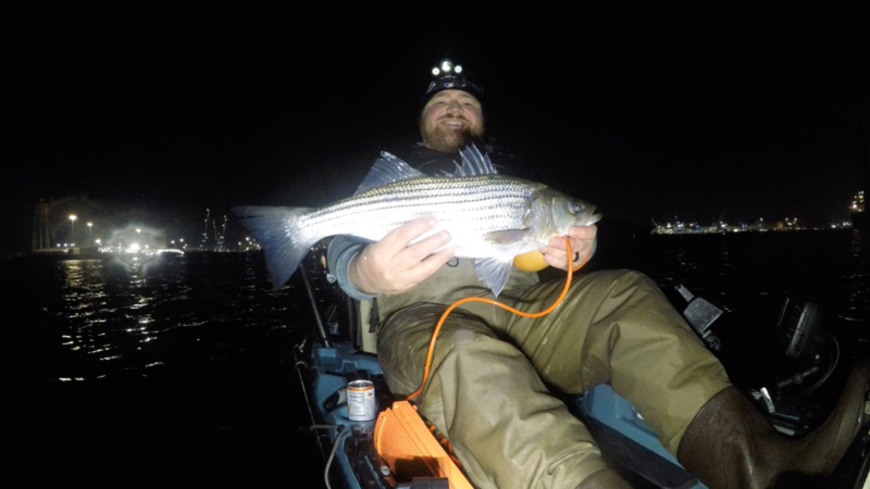 night fishing for rockfish