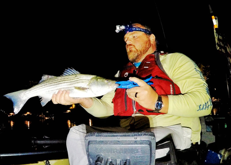 night fishing for stripers