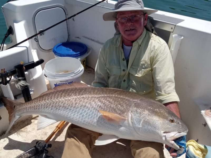 big red drum