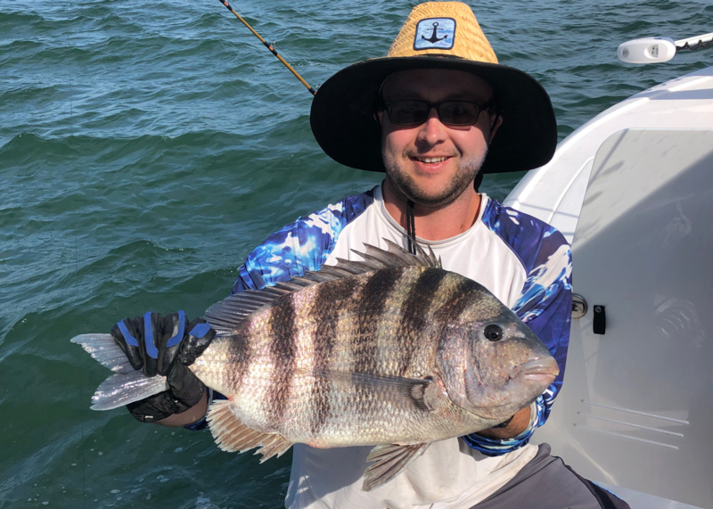 caught a nice sheepshead