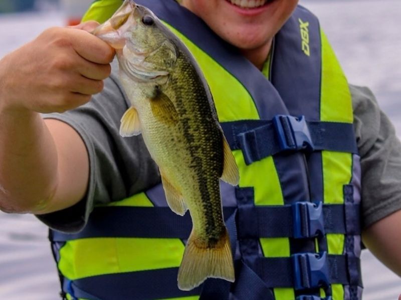 Largemouth bass fishing