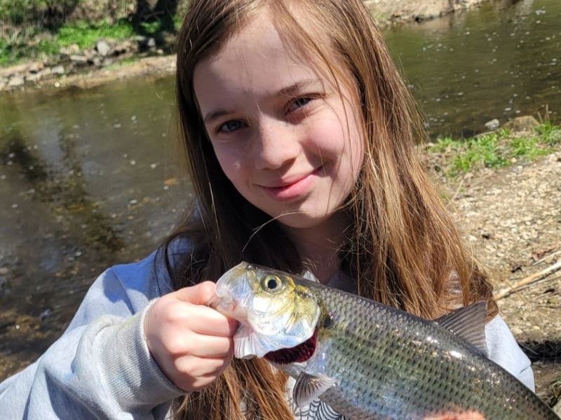 Spring shad fishing 