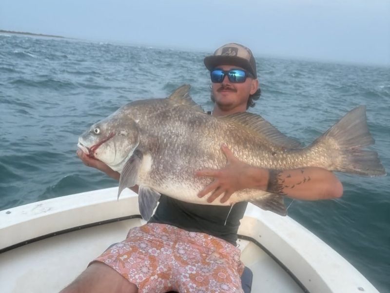 Black drum fishing