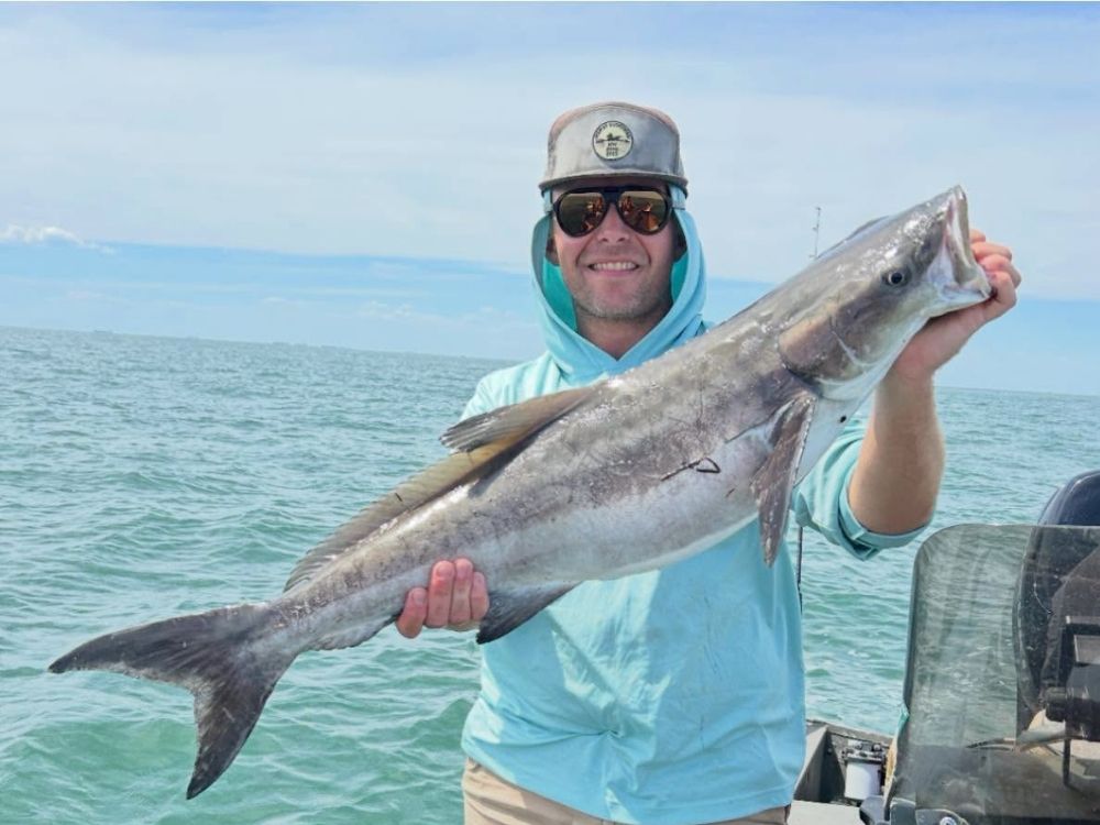 Cobia Fishing Chesapeake Bay