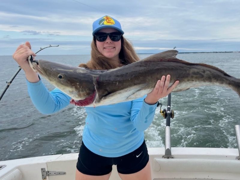 Cobia Fishing Chesapeake Bay