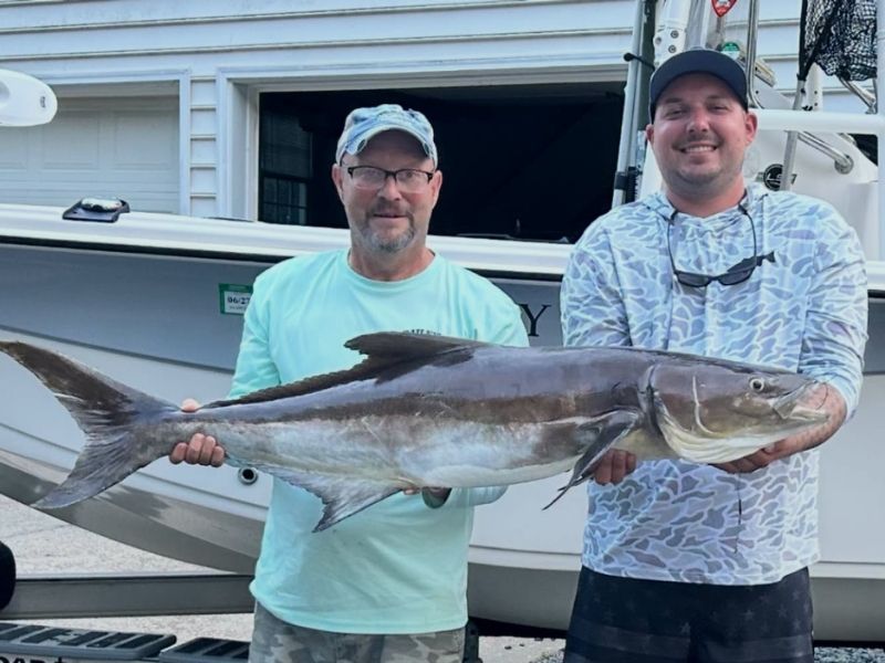 Cobia Fishing Chesapeake Bay