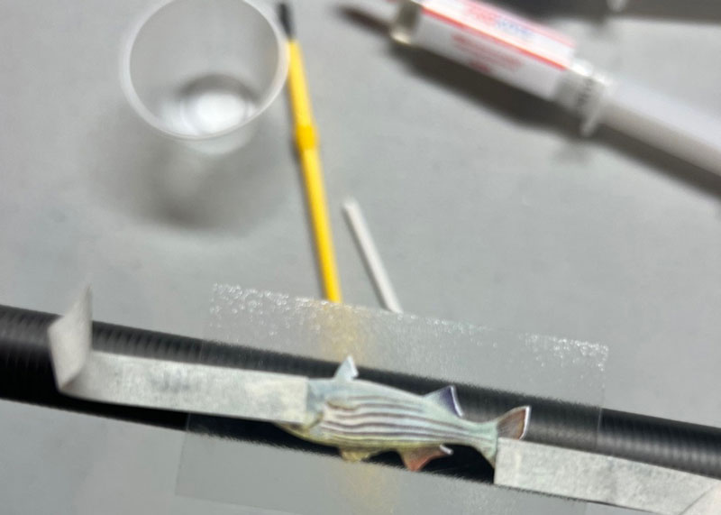 applying a decal to a custom fishing rod