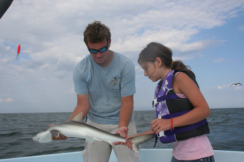 fishing for sharks