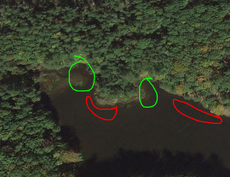 spawning areas for bass