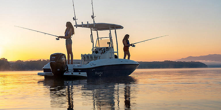 bayliner t18 trophy bay boat