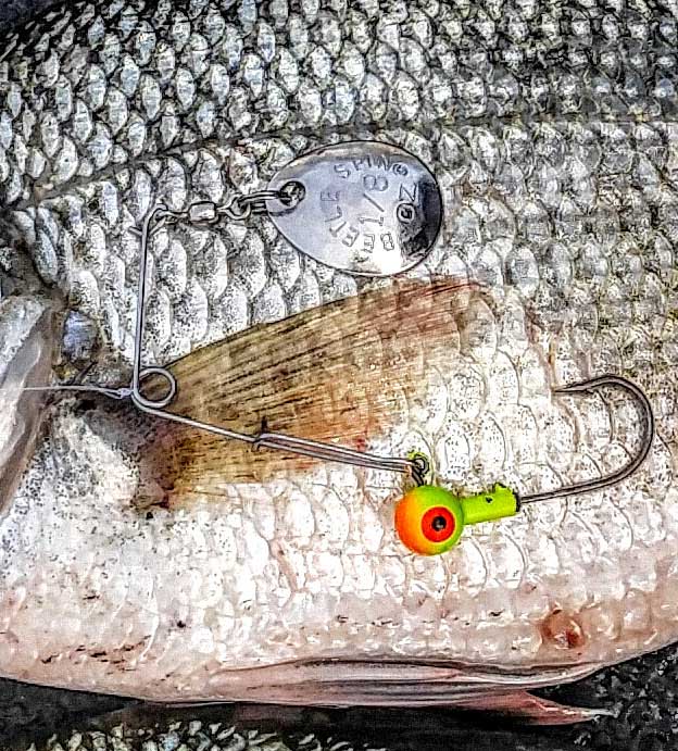 best fishing lure for perch