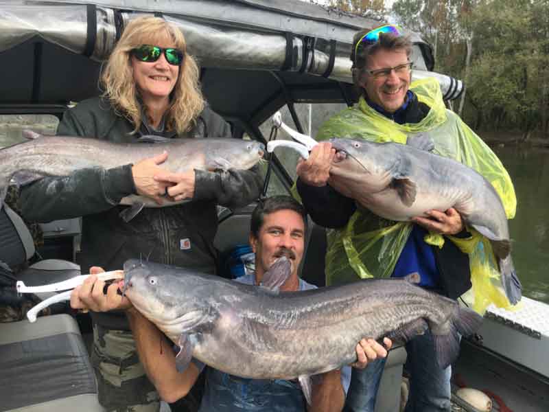 big catfish from the potomac river