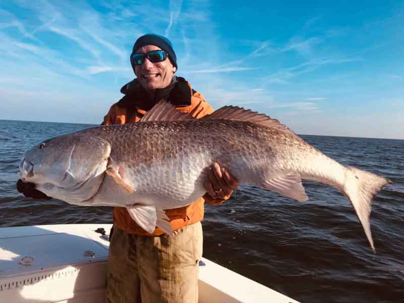 huge red drum